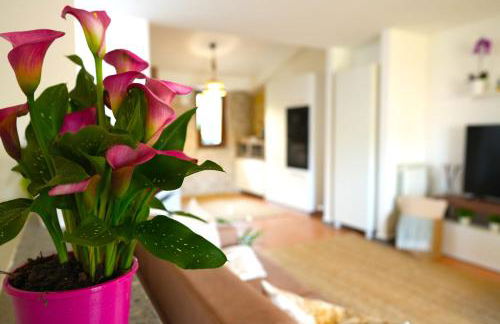 JANNUZZI HOUSE - Foto 26