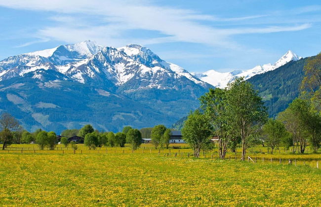 Contemporary Apartment in Maishofen Near Ski Area - Foto 74