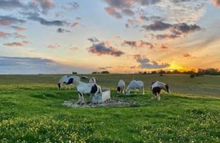 Charming Cotswold cottage with stunning views - Foto 29