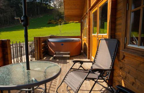 Bothy Cabin -Log cabin in wales - with hot tub - Foto 19