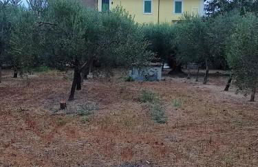 La Torre di Barbara - Foto 47