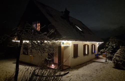 NaszjestWasz - Foto 15