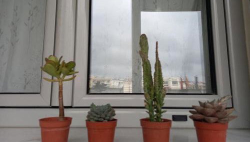 VagelisHome - Foto 5