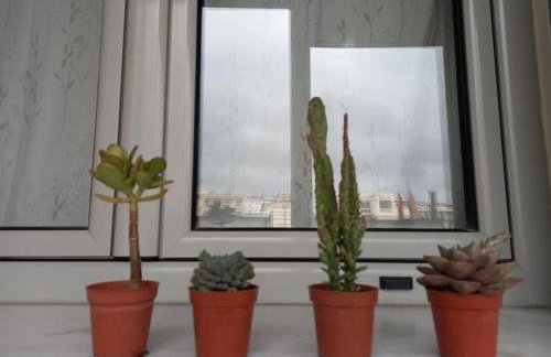 VagelisHome - Foto 5