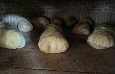 Appartamenti Pousada Michelino - Foto 21