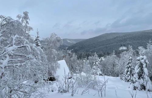 Ferienwohnung Sonnenhof - Foto 29
