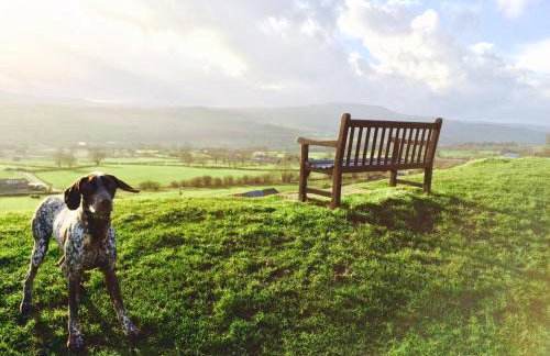The Old Chapel Leyburn - Foto 38