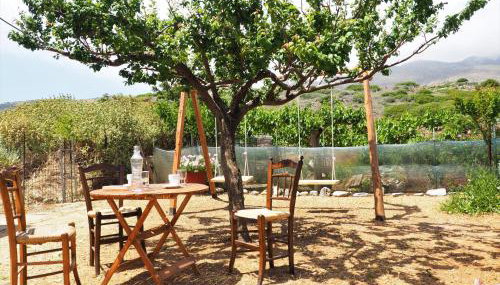 Traditional Cretan Villa - Foto 4