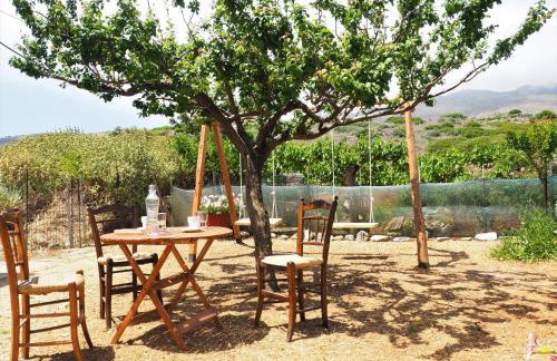 Traditional Cretan Villa - Photo 4