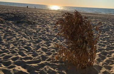 Grand rez de jardin-terrasse avec vue sur la mer - 2 chambres - Photo 28