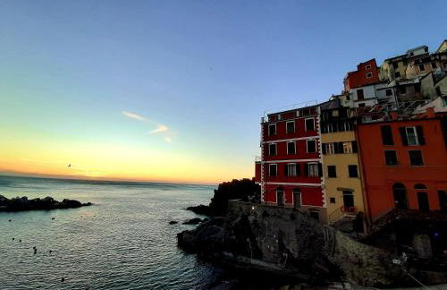 Pepita di Rio - Foto 28