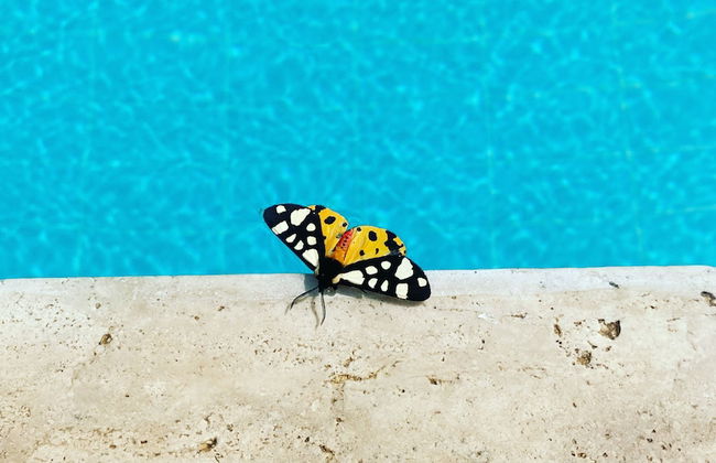 7 Green Adrasan - Foto 21