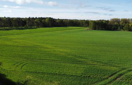 Ferienhaus Haffschatz - Foto 20