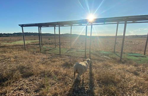 Casa Bendi - Foto 30