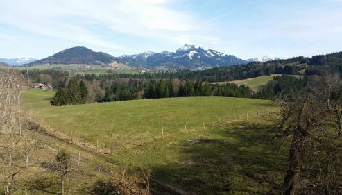 Biohof Unterstadl - Foto 5