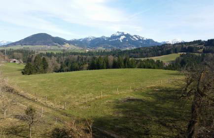 Biohof Unterstadl - Foto 5