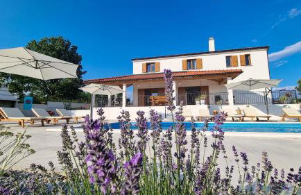 Kuća Roža - Dolinci - Foto 10