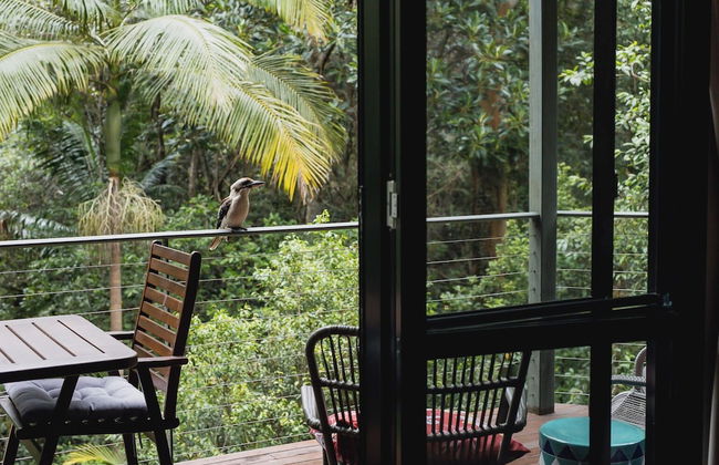 Kondalilla Eco Resort - Photo 63