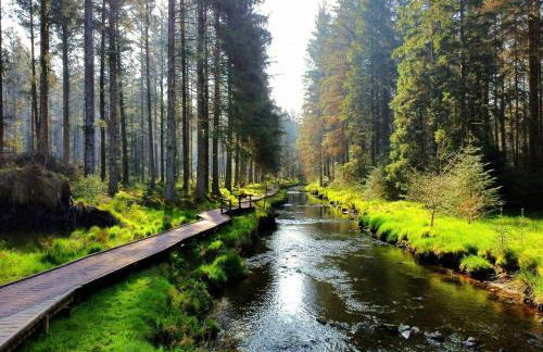 Llanidloes Townhouse-pet-friendly-sleeps 7-Mid Wales - Foto 46