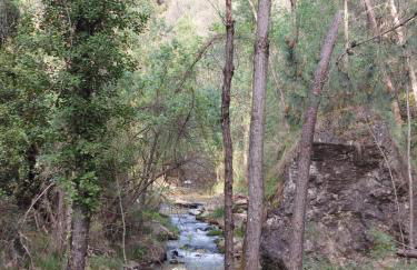 Apartamentos El Madroñal - Foto 66