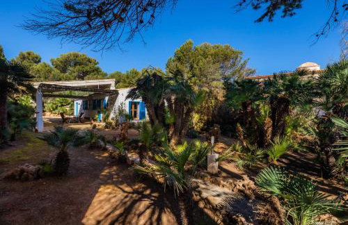 Finca Es Carregador - Photo 18