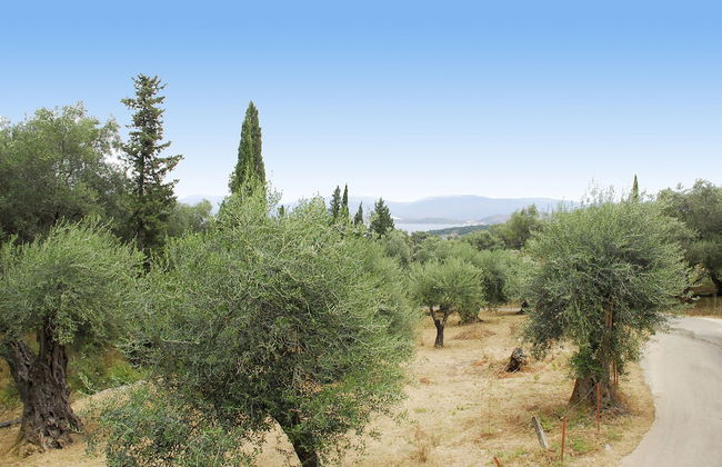 Villa Fedra - Foto 17