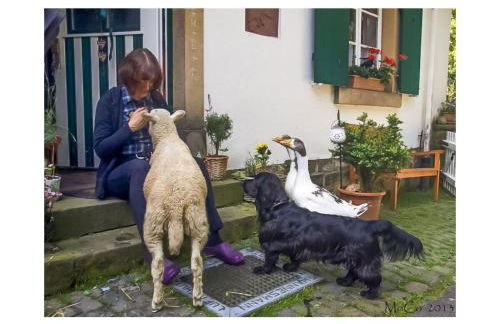 Apartment in a Wooded Area on Lake Faak - Foto 39