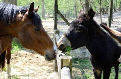 Agriturismo I Leprotti - Photo 39