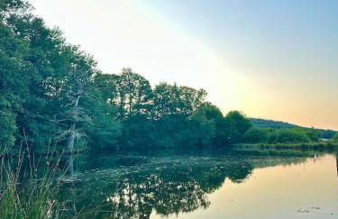 Aux Détours de l'Étang La Bergerie et sa piscine privative - Foto 6