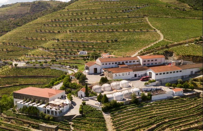 Cata de vinos en Quinta São Luiz - Foto 9