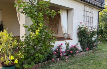 Dom Sloneczny - Foto 4