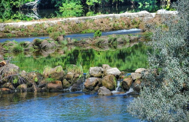 Holiday Home in Ponte de Lima With Pool - Foto 30