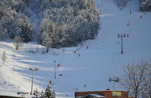 VILLARD DE LANS - Foto 10