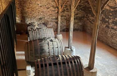 Casa Dr Ramiro Salgado - Douro Superior, Torre de Moncorvo - Foto 37