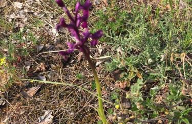 Agriturismo Holle - Foto 36