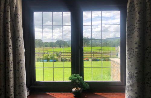 Mallard at Spring Head Farm - Foto 12