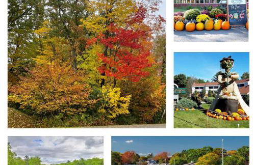 2026 Summer Cottage Sleeps 6, 2 Bedrooms Sun Room Jaccuzi 1 Mile to Beach! - Foto 27