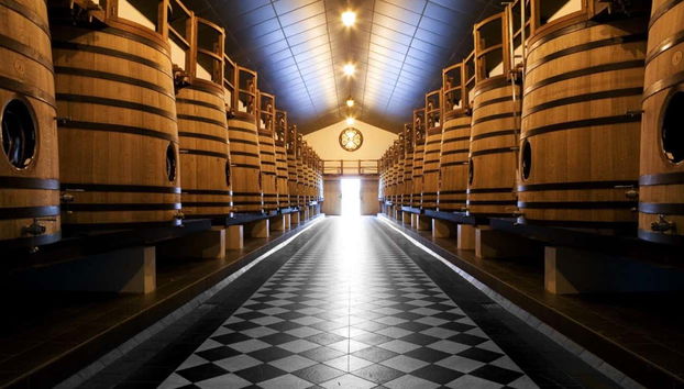 Château Pape Clément Tour - Foto 4