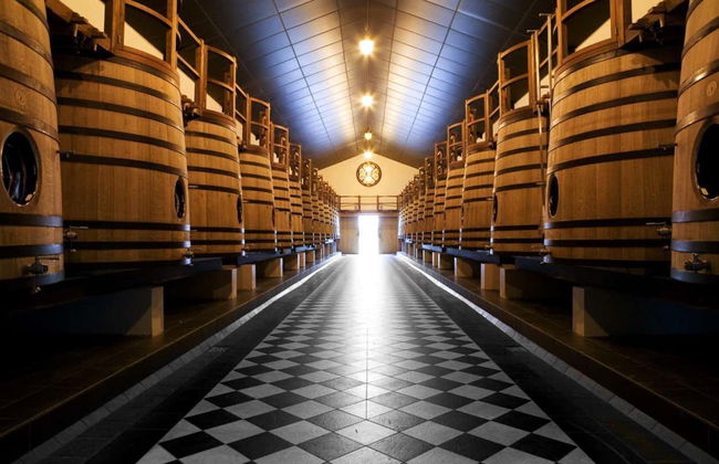 Visita al Château Pape Clément - Foto 4