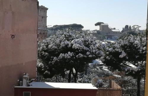 Colosseum house jp - Foto 15