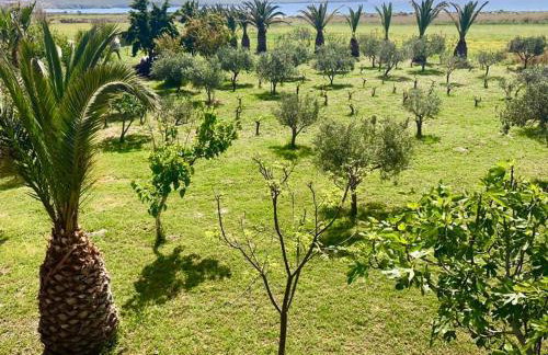 EvgatisBeach Loyskoy 1 - Foto 23