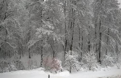 Quiet Comfort in Oelsnitz - Foto 33