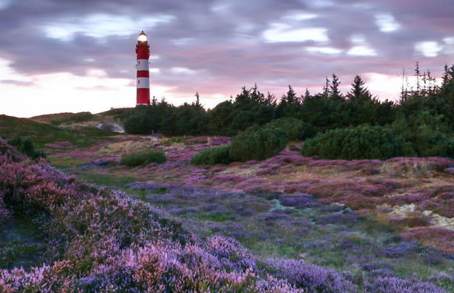 A in Haus Seewind Comfortable Vacation Home - Foto 11