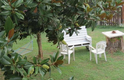 Casa Vacanze “Bouganville” loc Avane Pisa - Foto 9