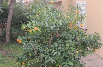 Le Verande di Isola Rossa - Foto 45