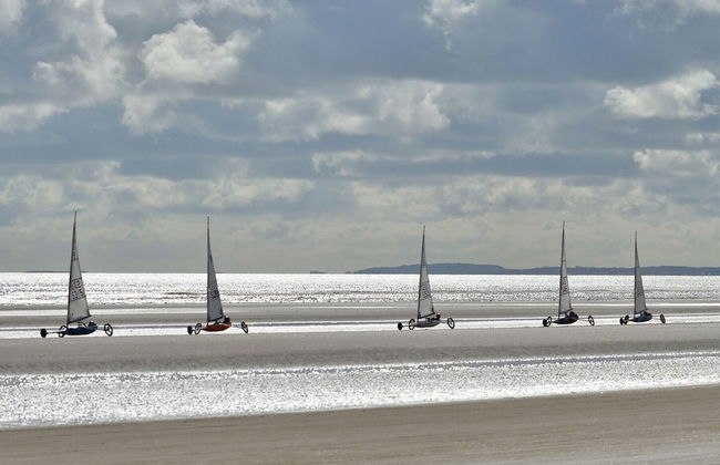 Courtyard HC No 8 - Foto 10