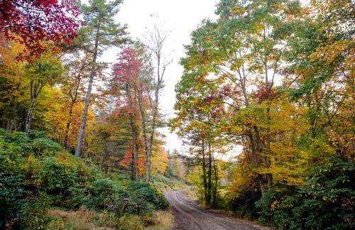 Beautiful Airstream Glamping Site for Romantic Weekends Away in North Carolina - Photo 23