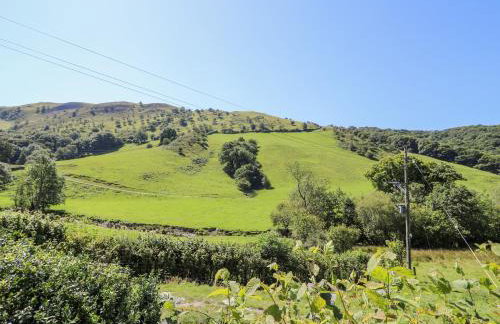 Lower Dolgenau- The Cottage - Foto 25