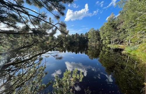 Apartment Schwarzwald-Anni Pool Tennis Sauna - Foto 33