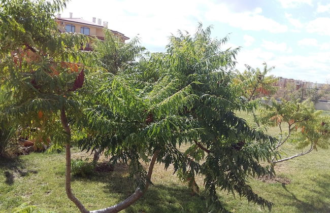 Apartkomplex Sorrento Sole Mare - Photo 68